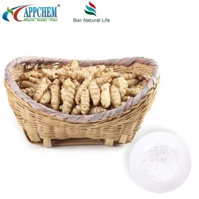 ستاتشيوز بريبيوتيك