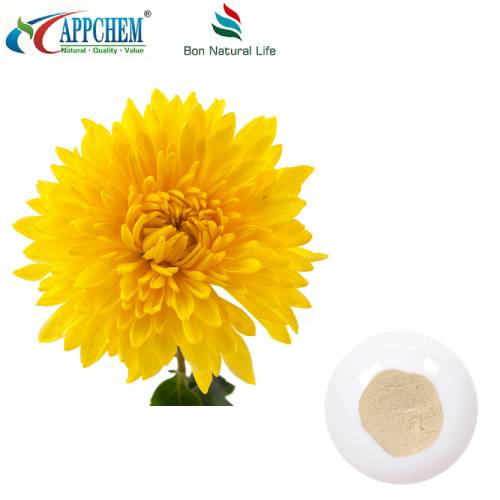 مستخلص Flos Chrysanthemi