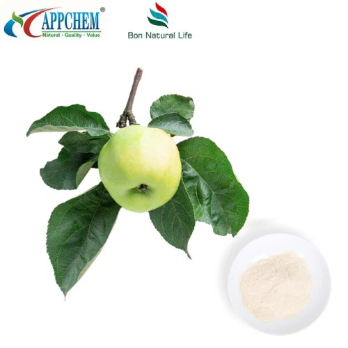 info-500-500 info-500-500