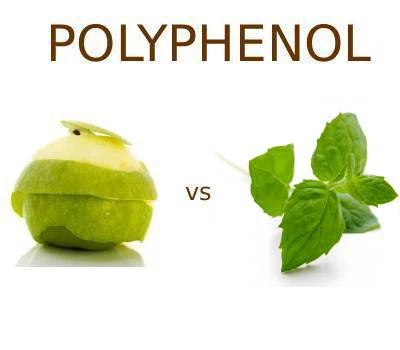 Apple Polyphenols وStevia Polyphenols: أيهما أكثر فائدة للأغذية الوظيفية؟