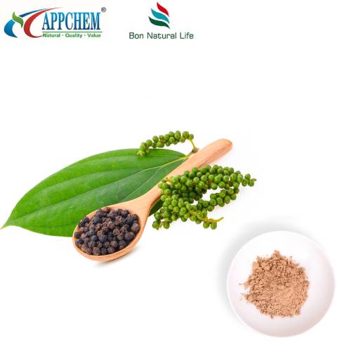 مسحوق مستخلص فاكهة Ligustrum