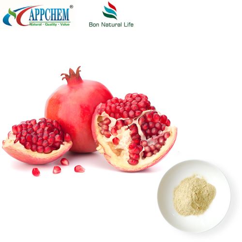 مواد التجميل