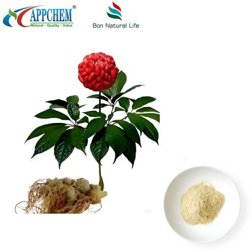 استخراج الجذر Notoginseng
