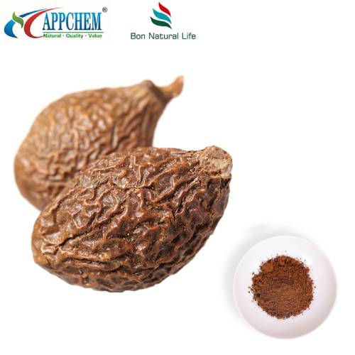 مسحوق استخراج السائل المنوي Lychnophorae