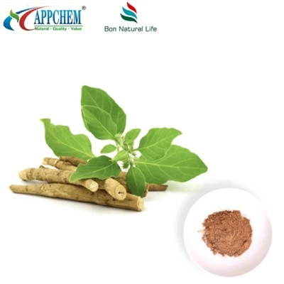 مسحوق Ashwagandha استخراج (withanolides) تصنيع 30655-48-2