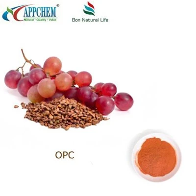 مستخلص بذور العنب 95 OPC