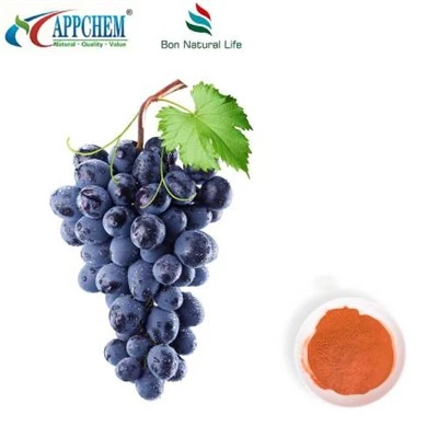 مسحوق مستخلص بذور العنب 95 بوليفينول