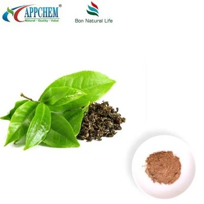 مسحوق الشاي الأخضر 95 بوليفينول