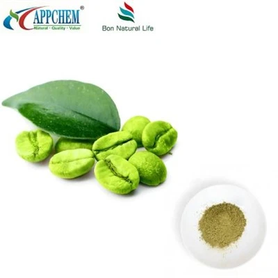 مسحوق حبوب القهوة الخضراء النقية