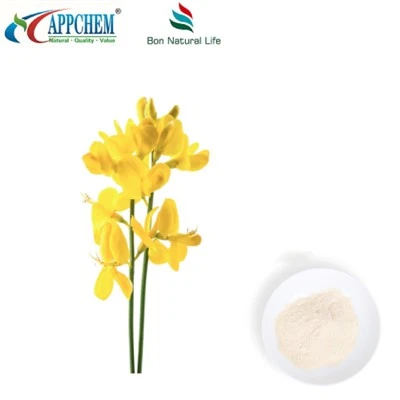 Thermopsis lanceolata R.Br مستخلص ؛ Cytisine HPLC98 ٪ مسحوق 485-35-8